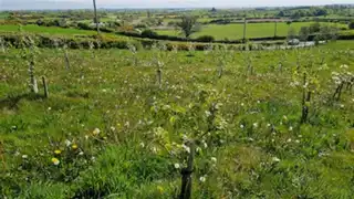 78A Adj To78A Ballyculter RoadImage 3