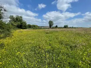Land At Downpatrick RoadImage 4