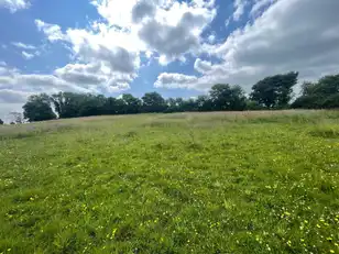 Land At Downpatrick RoadImage 6