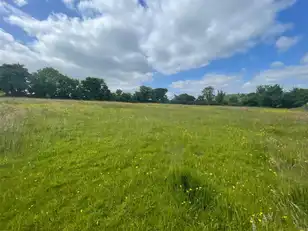 Land At Downpatrick RoadImage 7
