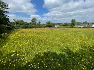 Land At Downpatrick RoadImage 3