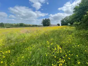 Land At Downpatrick RoadImage 2