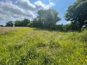 Land At Downpatrick RoadImage 5
