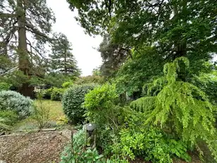 5 Castle GroveImage 32