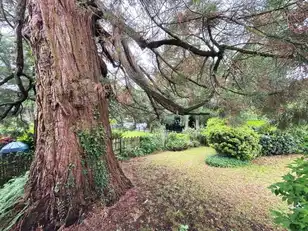 5 Castle GroveImage 33