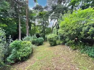 5 Castle GroveImage 38