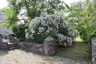 34 Ballyvennaght RoadImage 23