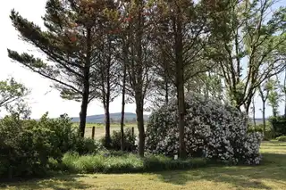 34 Ballyvennaght RoadImage 24