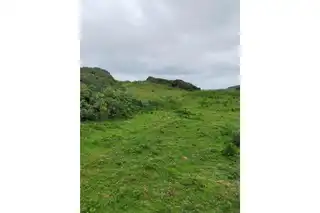 CoolnagrockImage 6