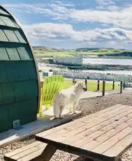 Rathlin Glamping SiteImage 25