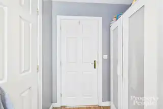 LigoneilImage 20