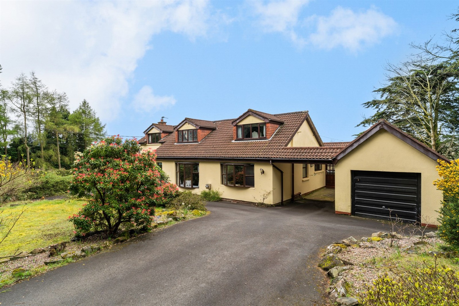 (Page 11) Properties for Sale in Ards Peninsula