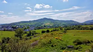 15 Carrickcroppan RoadImage 31