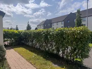 30 Oak Country ManorImage 3