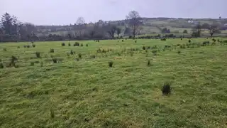 Glen RoadImage 9