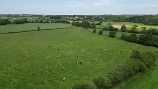 69 Ballybreagh RoadImage 14