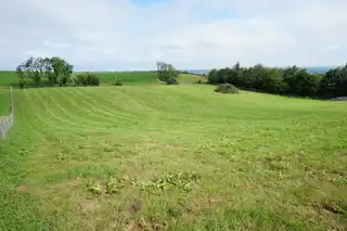 160 M West OfImage 2