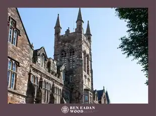 Site 12A Ben Eadan WoodImage 11