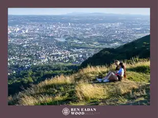 Site 30 Ben Eadan WoodImage 21