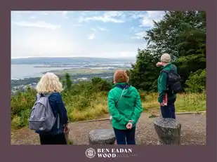 Site 30 Ben Eadan WoodImage 20