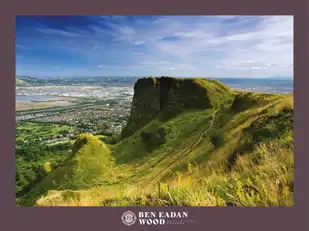 Site 30 Ben Eadan WoodImage 8