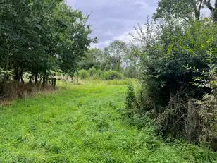Corrstown RoadImage 2
