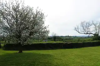 6 Screevagh RoadImage 25