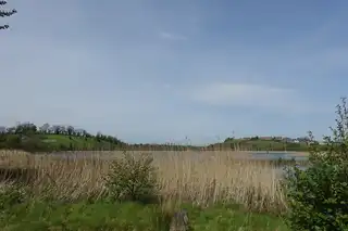 93 Sligo RoadImage 25
