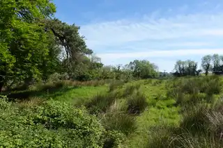 30 Metres North Of 160A Belfast RoadImage 6