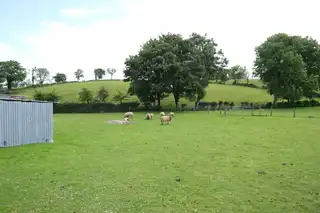 41 Clarnagh RoadImage 27
