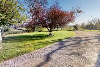 RaheenImage 25