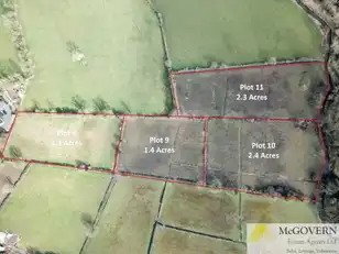 22 Acres Whitehill LandImage 5