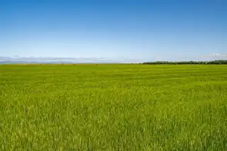 The Eglinton EstateImage 3