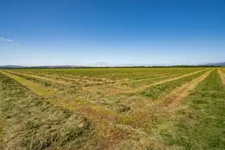 The Eglinton EstateImage 6