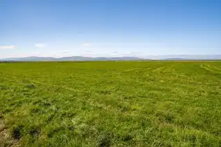 The Eglinton EstateImage 2