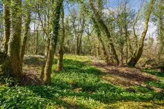 Lough EskeImage 29