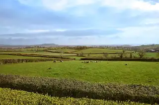 28 Ballynichol RoadImage 16