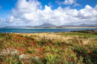 Site On Inishbofin IslandImage 12