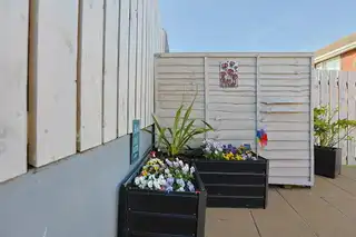 31 Collingwood AvenueImage 49