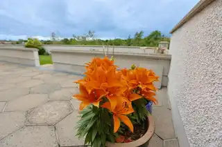 39 Dungormley EstateImage 56