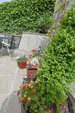 44 Mountview ParkImage 91