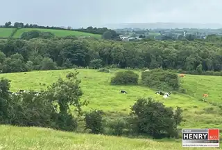 Mullaghroddan RoadImage 3