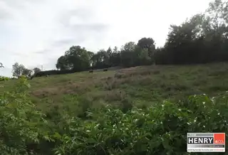 Bockets & Ballynahaye RoadImage 5