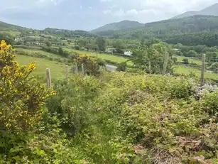 Hilltown RoadImage 4