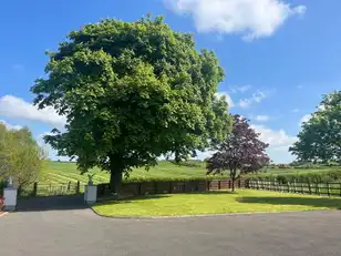 143 Kilnahusogue RoadImage 13