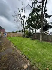 47B Finaghy Road SouthImage 19