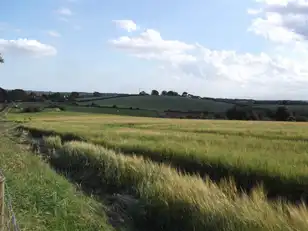 22 Acres At The BraeImage 5