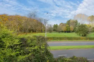 23 Hawthornden DriveImage 13