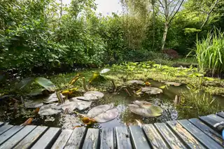 1 Seahill DriveImage 22