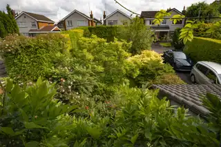 13 Trossachs GardensImage 36